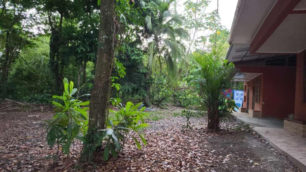 Hostel Manuel Antonio Park Jungle Eksteriør billede